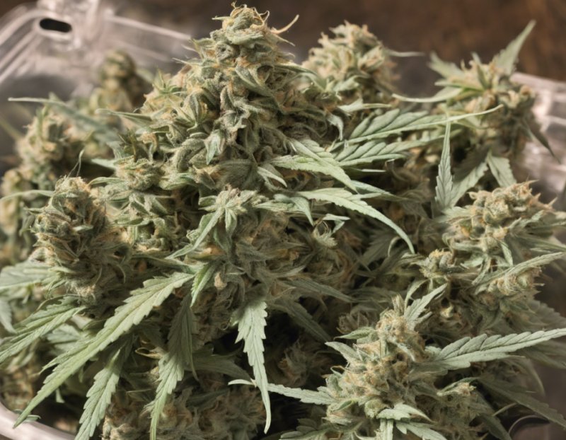 Exploring the Eighth of Weed What You Need to Know