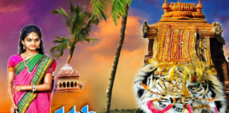Download 11th Tamil Guide PDF for Free